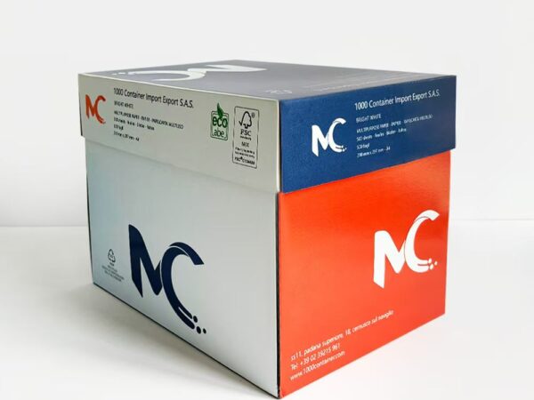 Scatole e Carta da Ufficio